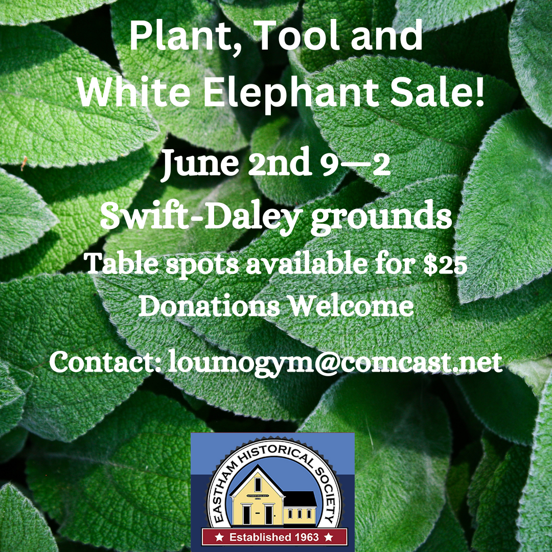 sun 2 jun 2024: white elephant sale