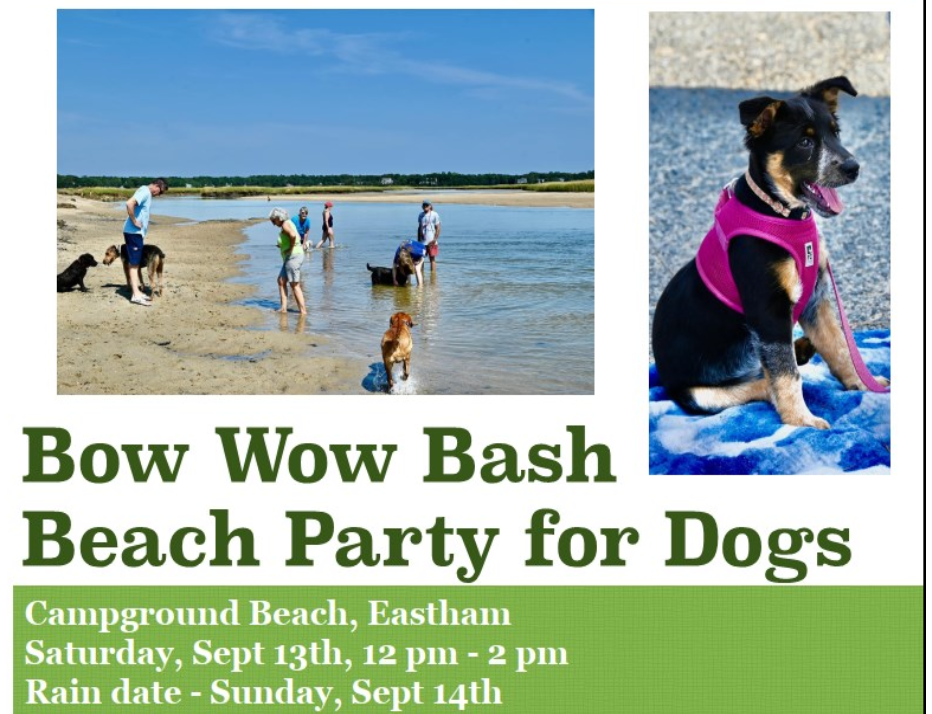 sat 13 sep 2025: bow wow bash