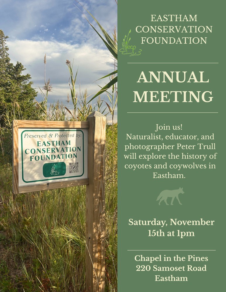 sat 15 nov 2025: eastham conservation foundation annual meeting
