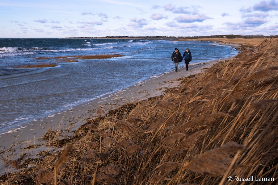 Salt Marsh Restoration in Eastham